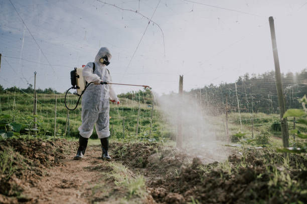 Best Affordable Pest Control Services  in Cayuga Heights, NY