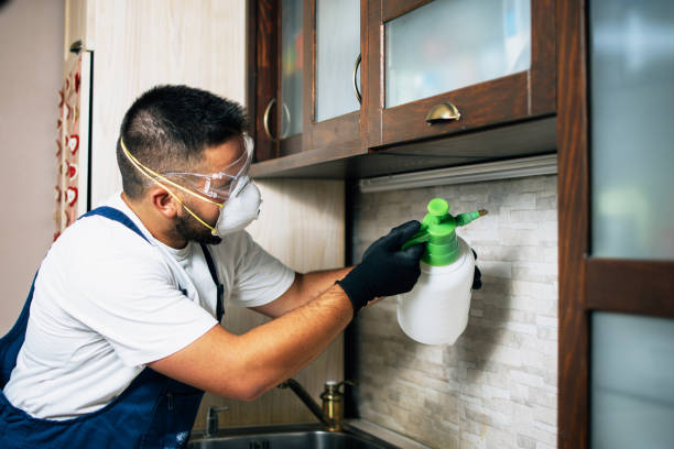 Best Cockroach Control Services  in Cayuga Heights, NY