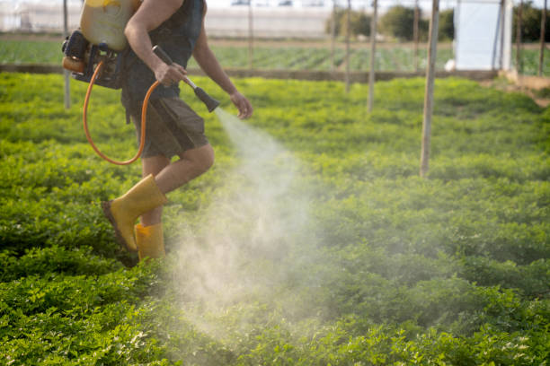 Best Ant Control Services  in Cayuga Heights, NY