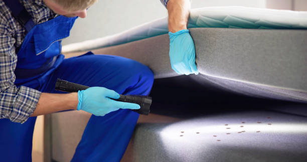 Best Pest Inspection Near Me  in Cayuga Heights, NY