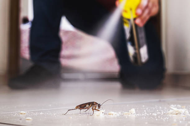 Professional Pest Control in Cayuga Heights, NY