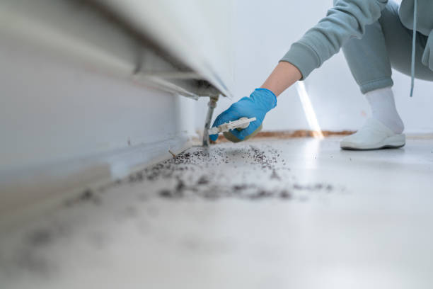 Professional Pest Control in Cayuga Heights, NY