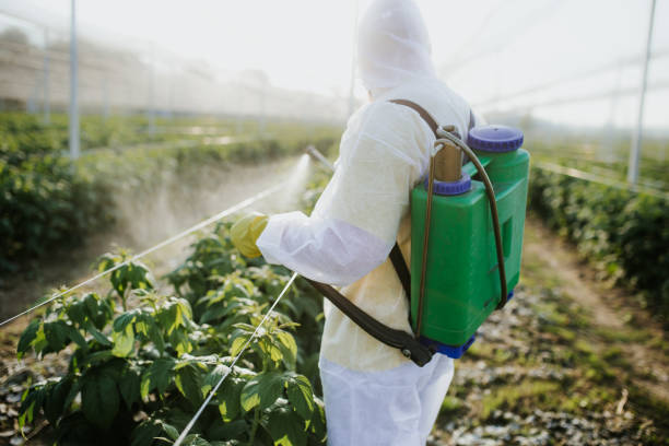 Best Pest Control Near Me  in Cayuga Heights, NY